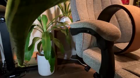 Snapshot of fuklicious chatting on 01-19-25, 03:39 fuklicious online show from 01-19-25, 03:39