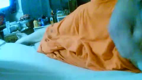 Snapshot of fultonstreet196860 chatting on 11-24-25, 02:22 fultonstreet196860 online show from 11-24-25, 02:22