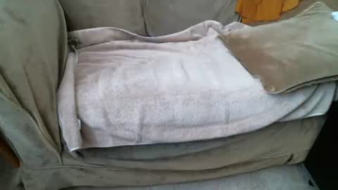 Snapshot of funlovinchub chatting on 02-08-26, 06:33 funlovinchub online show from 02-08-26, 06:33