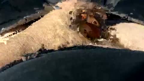 funtime741 online show from 12-10-24, 02:16