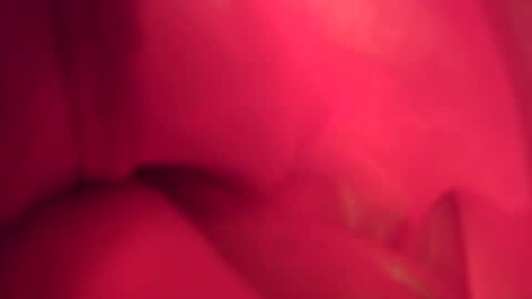 funtimes01234 online show from 11-10-25, 07:24