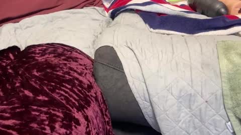 Snapshot of funwithtoyz chatting on 01-10-25, 07:04 funwithtoyz online show from 01-10-25, 07:04