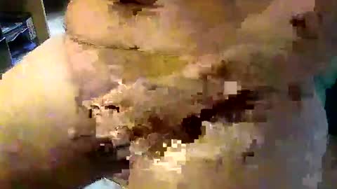 Snapshot of gallimanxxleu chatting on 09-17-25, 08:05 Stutzen online show from 09-17-25, 08:05