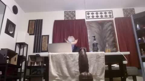 gatewaylaptop2019 online show from 04-02-26, 11:30