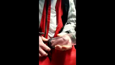 gator19037526775 online show from 03-13-26, 02:23