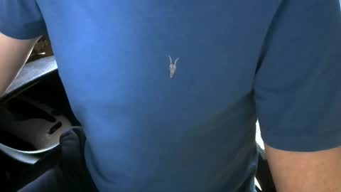 gay slave on cam online show from 10-05-25, 09:40