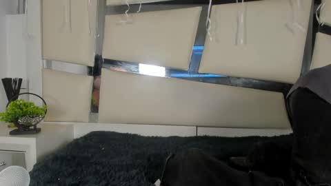 Snapshot of genesis_ask chatting on 11-17-25, 03:34 Genesis online show from 11-17-25, 03:34