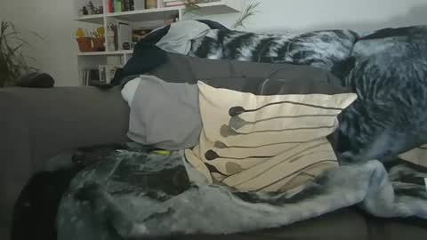 Geon online show from 12-19-25, 11:28