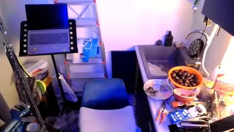 georgempt online show from 01-12-25, 07:42