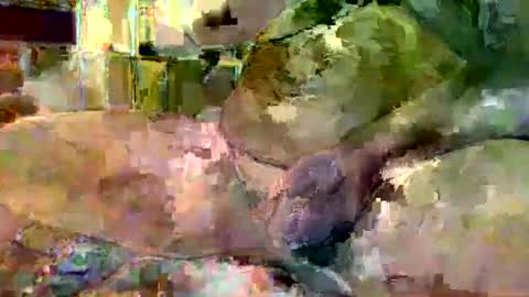 gergokertesz online show from 01-16-25, 03:02