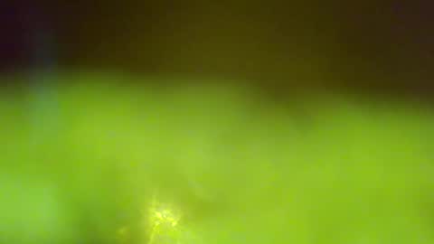 germanandy71 online show from 01-06-26, 06:50