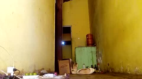 Gaby online show from 11-14-25, 06:50