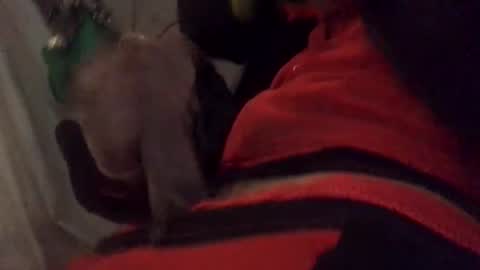 Snapshot of ghallofino26 chatting on 02-05-26, 02:49 ghallofino26 online show from 02-05-26, 02:49