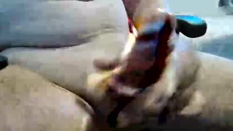 ghost1805 online show from 11-10-25, 11:26