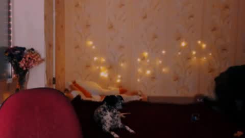 Emm online show from 12-20-24, 11:37