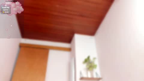 Julie online show from 04-08-26, 03:50