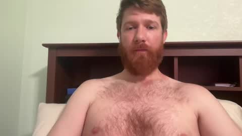 gingermania10 online show from 12-04-24, 06:39