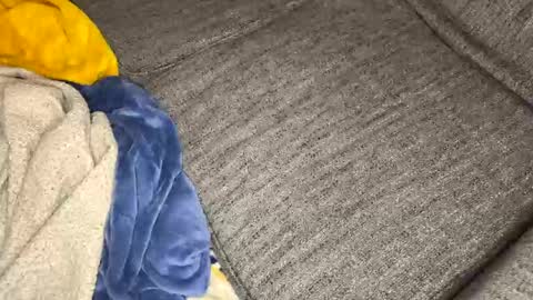 gingerrslut online show from 03-13-26, 08:54