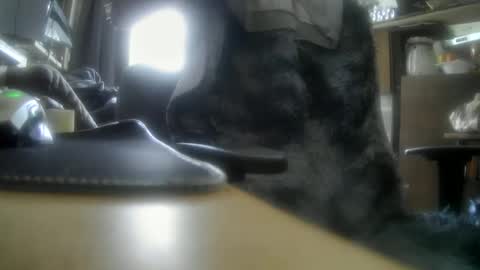 giovanne1 online show from 12-05-24, 12:11