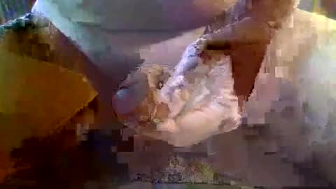 Snapshot of girafsnoop chatting on 01-19-25, 09:22 girafsnoop online show from 01-19-25, 09:22