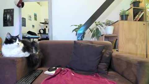 girasol1921 online show from 12-29-24, 03:22