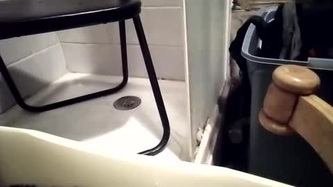 lovegirlscallme online show from 12-01-25, 07:30