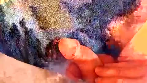 Gman online show from 03-02-25, 06:27