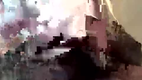 gmenocal21 online show from 02-27-25, 07:58