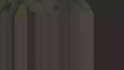 gnz310388 online show from 02-12-26, 01:11