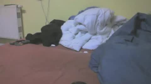 gnz310388 online show from 03-04-26, 07:20