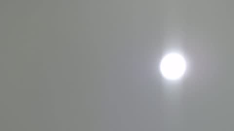 goath_08 online show from 02-07-25, 10:41