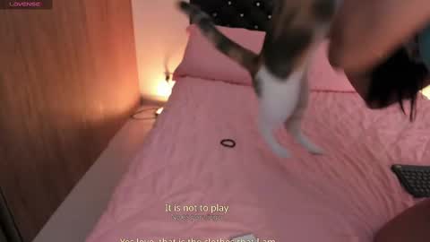 goddess_eli77 online show from 10-04-25, 02:53