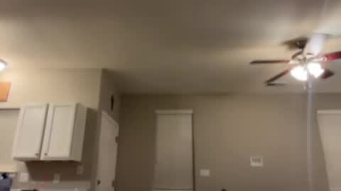 Princess Miila  BBC Daddy online show from 01-06-25, 10:24