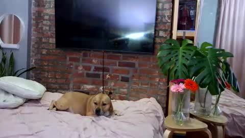 Snapshot of goddessjojo4u chatting on 04-04-26, 01:15 Goodess Jojo online show from 04-04-26, 01:15