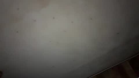 Snapshot of godseekingatheist chatting on 11-09-25, 01:59 godseekingatheist online show from 11-09-25, 01:59