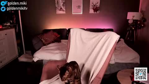 Snapshot of golden_miki chatting on 02-02-25, 06:15 Shy in the streets but a freak in the sheets online show from 02-02-25, 06:15