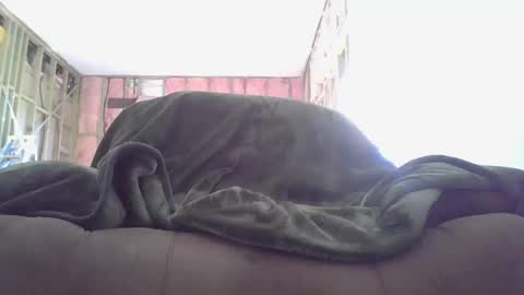 goodcock12345 online show from 12-03-24, 08:28