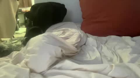 Snapshot of goodparker chatting on 10-08-25, 02:31 goodparker online show from 10-08-25, 02:31