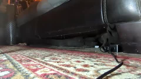 Snapshot of gothicfeetfantasies chatting on 01-25-25, 07:17 Mistress Mommy Godess online show from 01-25-25, 07:17