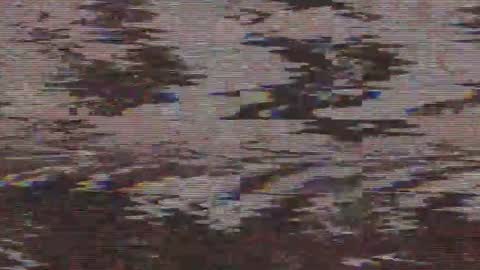        online show from 05-21-26, 04:41
