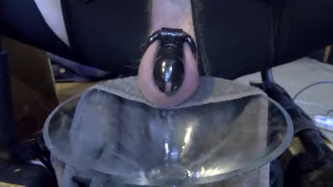 electrogee1 online show from 02-22-26, 11:47