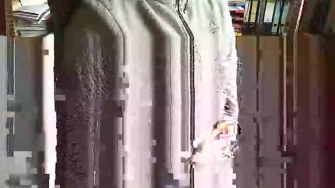 greyhounddog online show from 11-05-25, 09:42