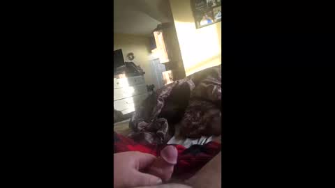 grizzely1975 online show from 11-22-25, 02:27