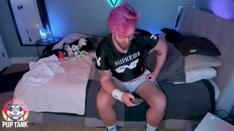 Alpha pup online show from 11-11-25, 10:21