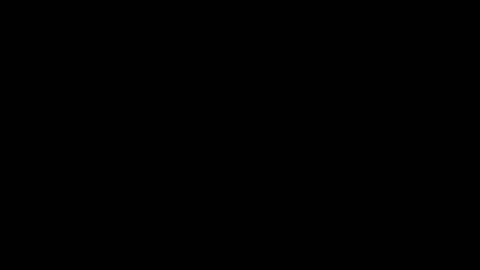 grpmunky69 online show from 12-29-24, 08:11