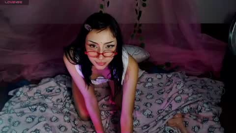 Hachi 3 online show from 07-15-26, 05:02