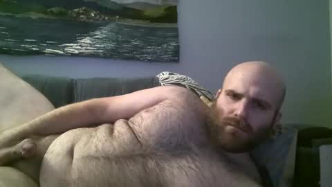 Snapshot of hairiestbear chatting on 12-23-24, 11:36 Hairiest Bear online show from 12-23-24, 11:36