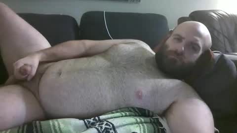 Hairiest Bear online show from 02-22-26, 05:40