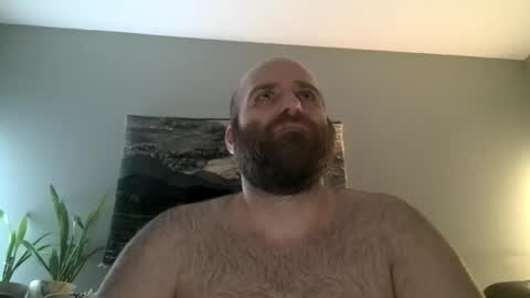 Hairiest Bear online show from 03-01-26, 05:53