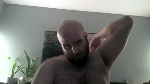 Hairiest Bear online show from 04-01-26, 06:25